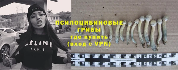 соль ск Армянск