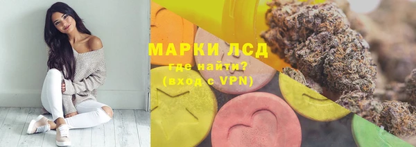 гидра Аркадак