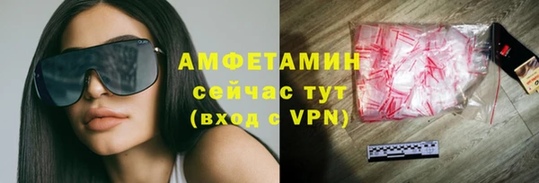 гидра Аркадак