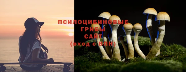 гидра Аркадак