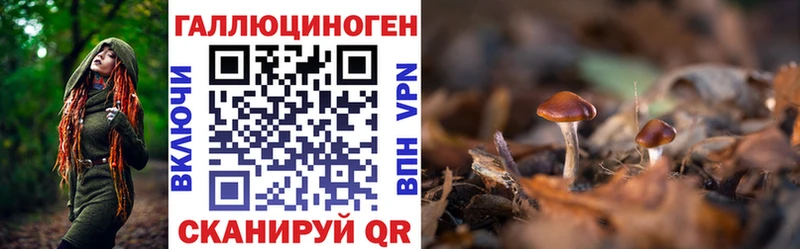 наркошоп  Ревда  блэк спрут tor  Псилоцибиновые грибы Magic Shrooms 
